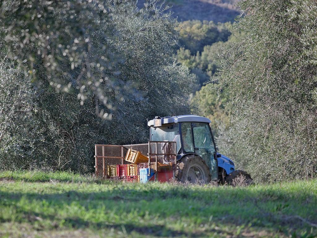 Tenuta La Silva Seggiano Zewnętrze zdjęcie