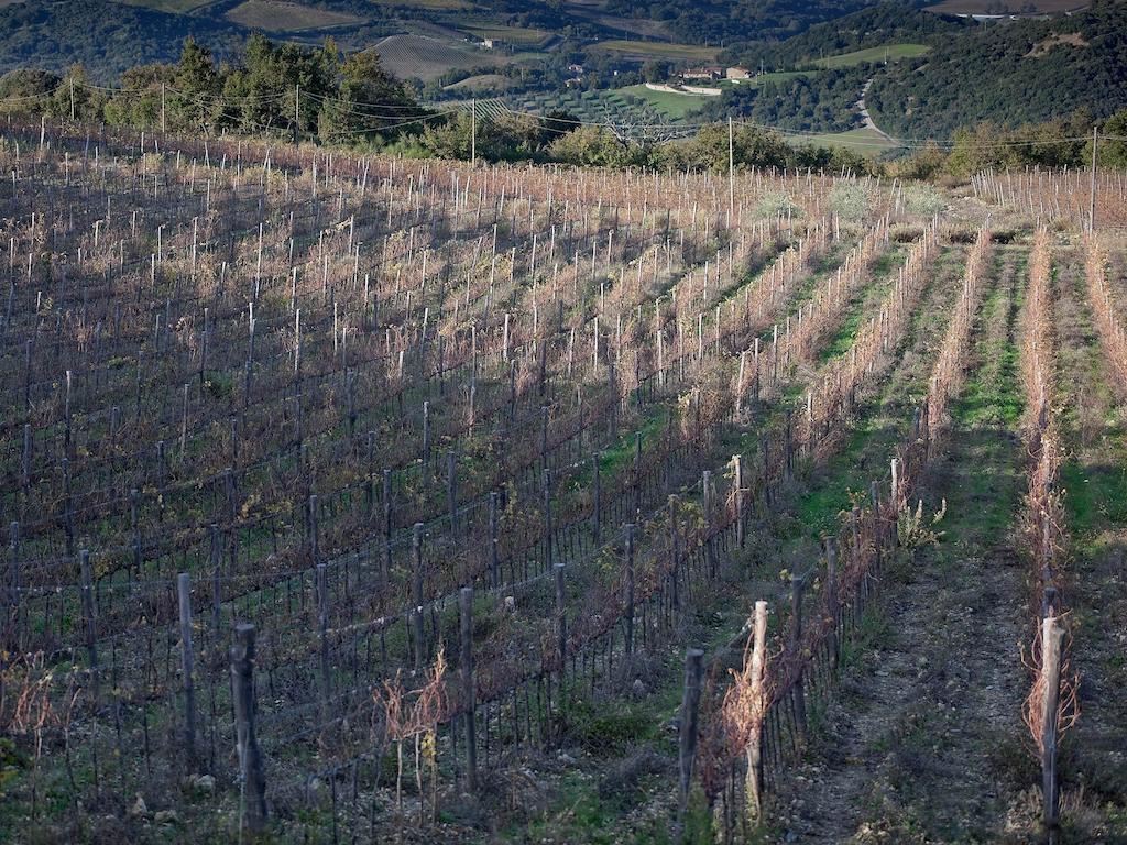 Tenuta La Silva Seggiano Zewnętrze zdjęcie