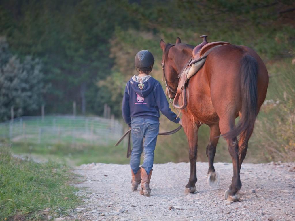 Tenuta La Silva Seggiano Zewnętrze zdjęcie